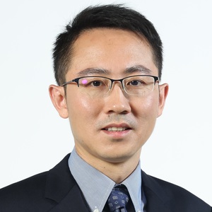 Assoc Prof Yan JIFellow